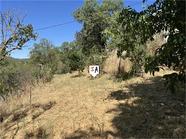 Image No.6-4 Bed Farmhouse for sale