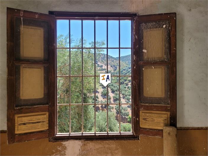 Image No.8-Ferme de 4 chambres à vendre à Iznájar