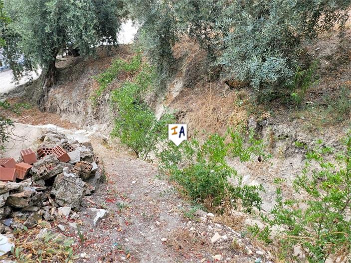 Image No.16-2 Bed House for sale