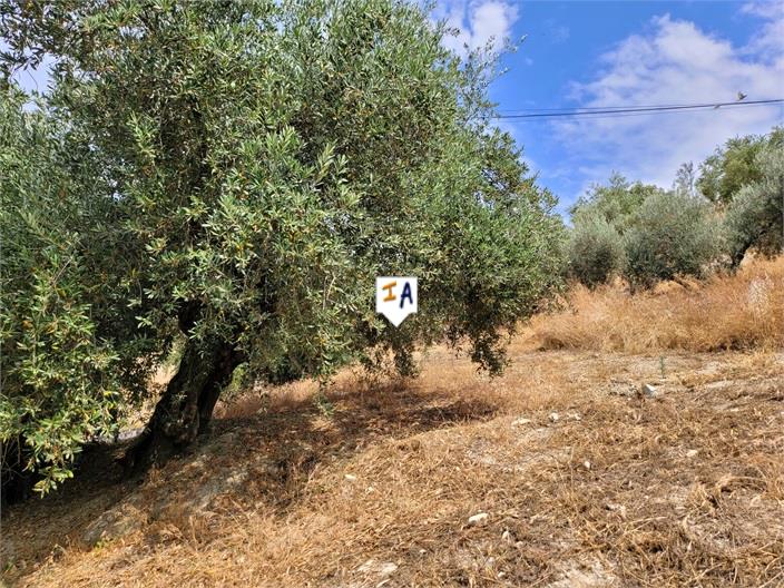 Image No.17-2 Bed House for sale