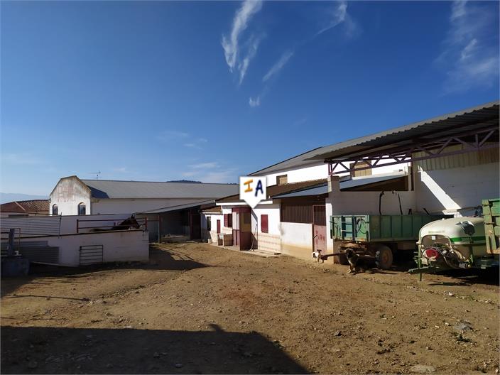 Image No.12-House for sale