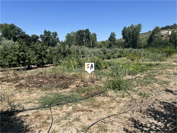 Image No.15-Ferme de 3 chambres à vendre à Castillo de Locubín