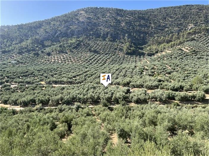 Image No.4-Ferme de 6 chambres à vendre à Rute