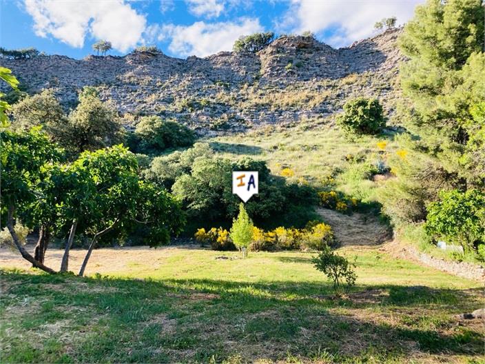 Image No.3-Ferme de 3 chambres à vendre à Jaen