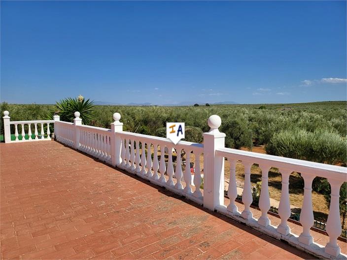 Image No.9-Villa de 3 chambres à vendre à Puente-Genil