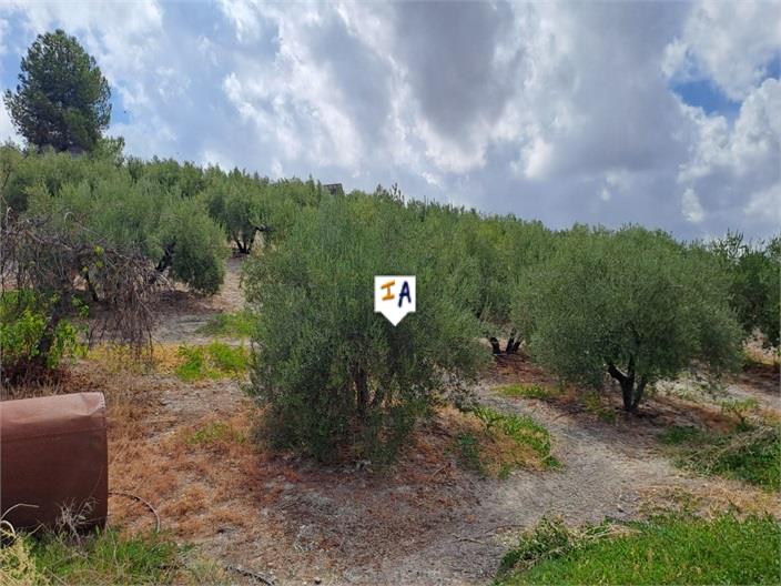 Image No.16-3 Bed House for sale