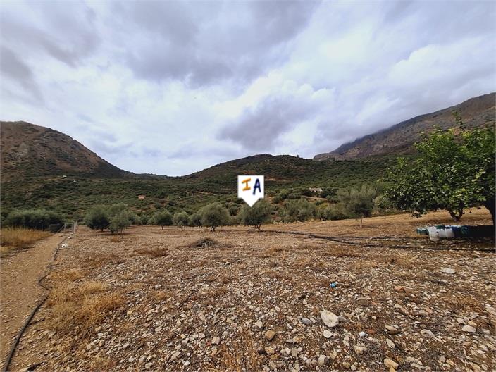 Image No.12-2 Bed House for sale