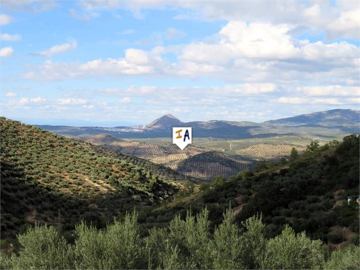 Image No.10-5 Bed Farmhouse for sale