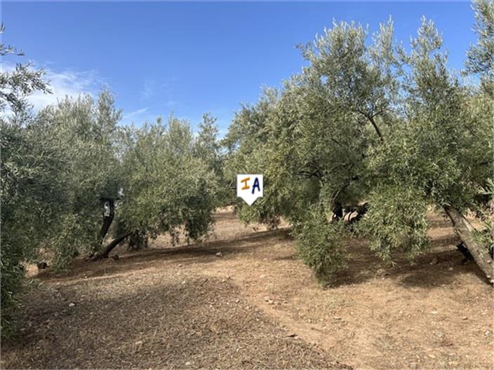 Image No.14-4 Bed Farmhouse for sale