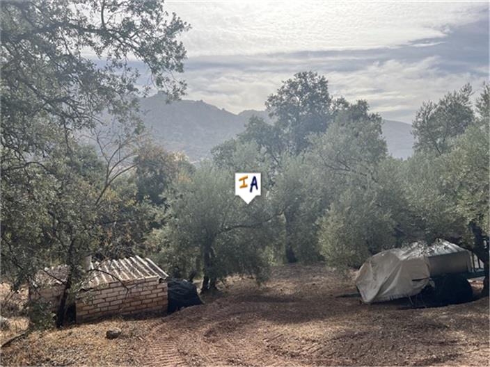 Image No.17-4 Bed Farmhouse for sale