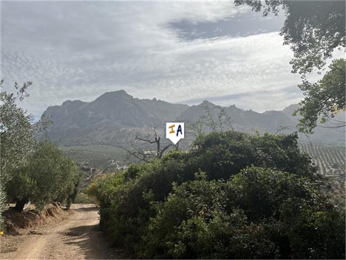 Image No.3-4 Bed Farmhouse for sale