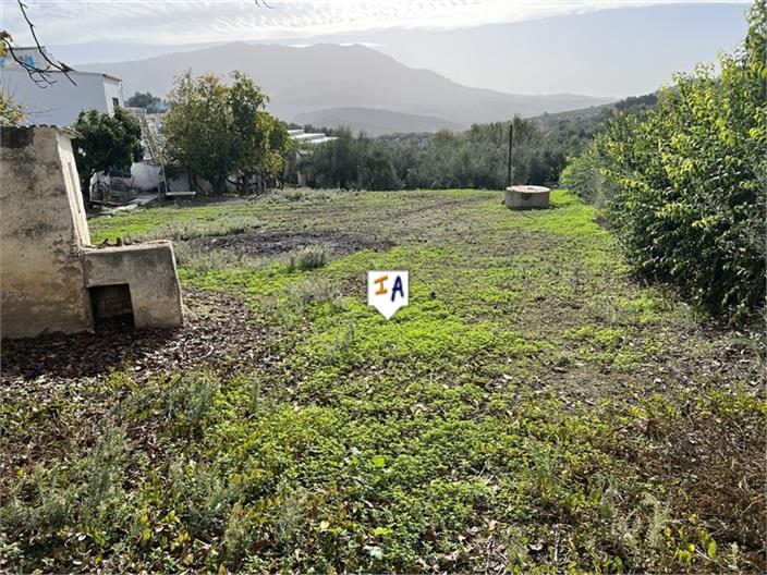 Image No.17-Maison de 5 chambres à vendre à Rute