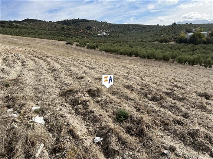 Image No.5-Ferme de 5 chambres à vendre à Rute