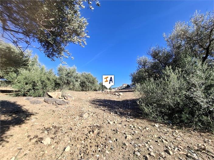 Image No.16-Maison de 2 chambres à vendre à Alcaucín