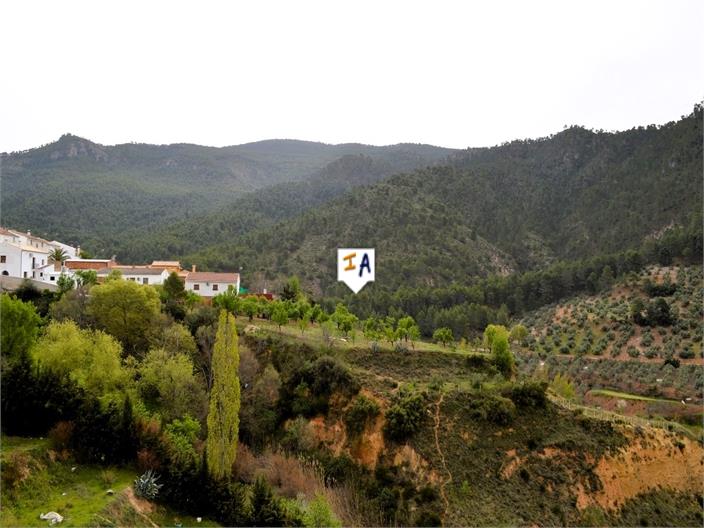 Image No.10-9 Bed House for sale