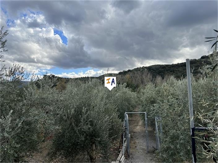 Image No.14-2 Bed Farmhouse for sale