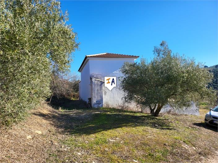 Image No.6-Ferme de 2 chambres à vendre à Montefrío