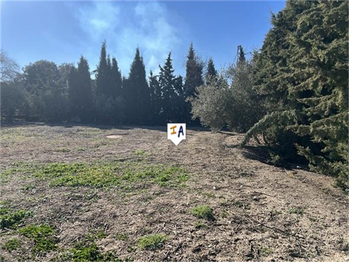 Image No.11-Farmhouse for sale