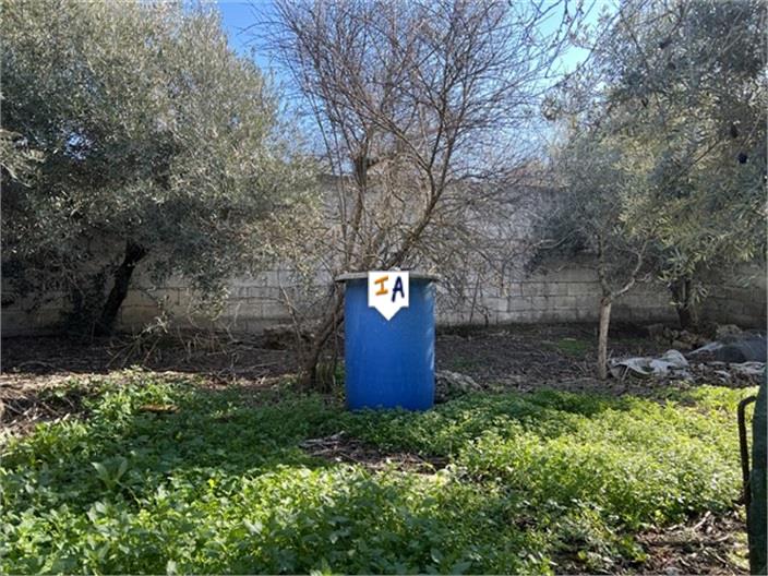 Image No.13-Farmhouse for sale