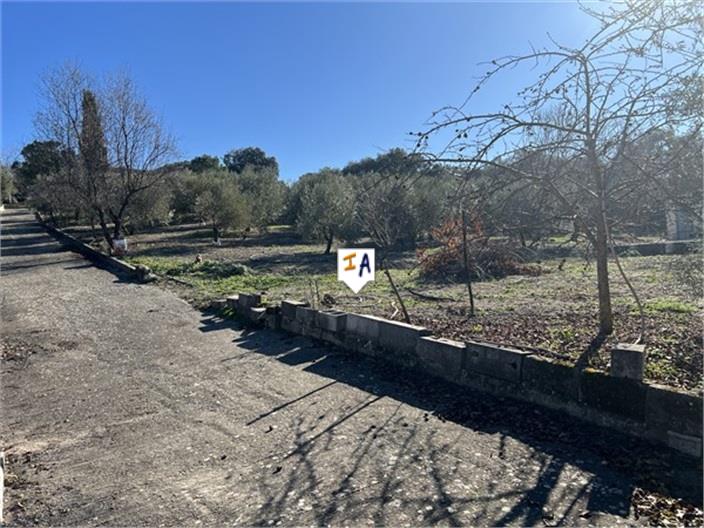 Image No.14-Farmhouse for sale