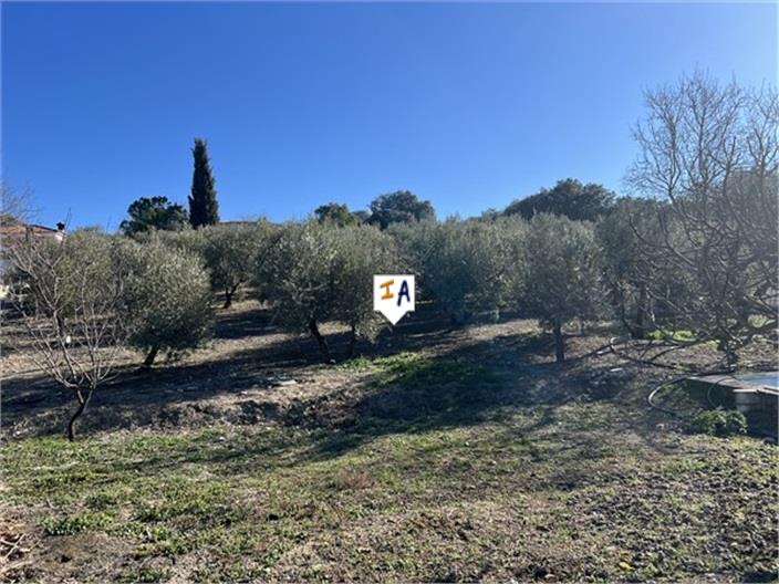 Image No.16-Farmhouse for sale