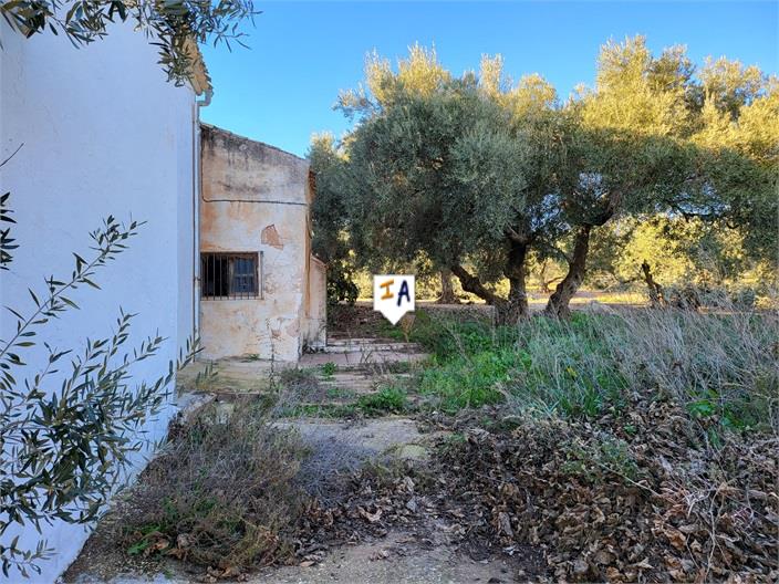 Image No.15-Ferme de 3 chambres à vendre à Villanueva del Trabuco