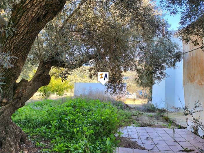 Image No.6-Ferme de 3 chambres à vendre à Villanueva del Trabuco