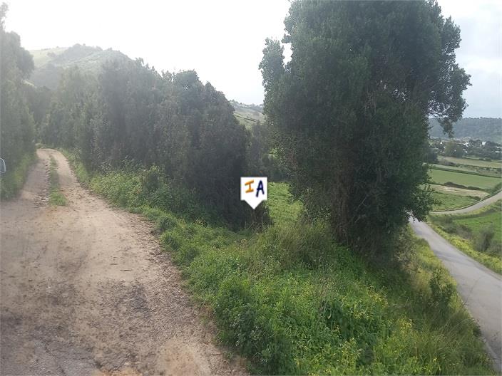 Image No.17-Land for sale