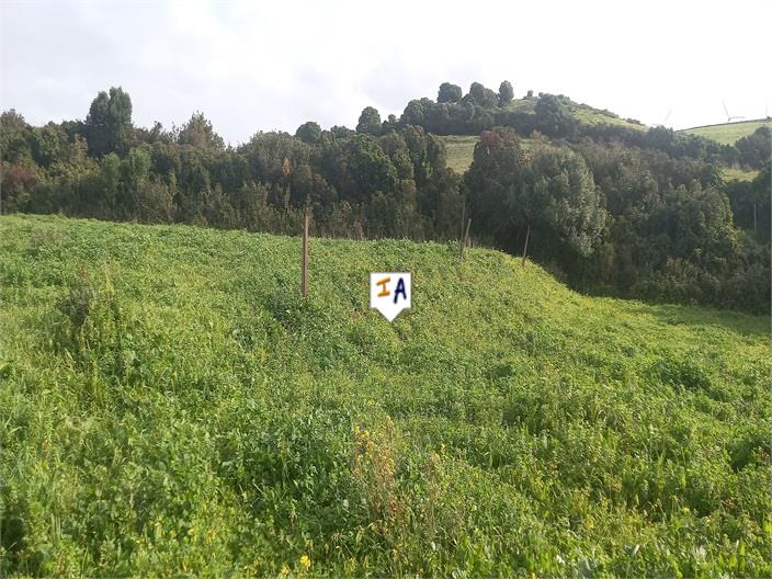 Image No.10-Land for sale