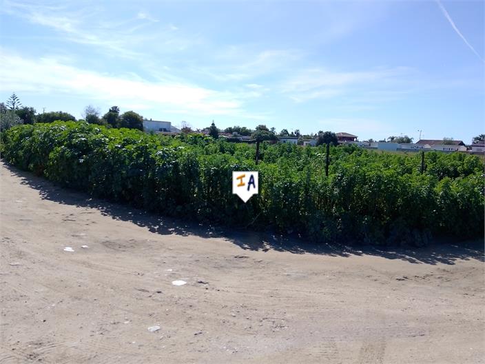 Image No.5-Land for sale