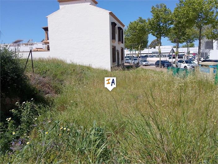 Image No.4-Land for sale