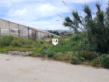 pl3113
