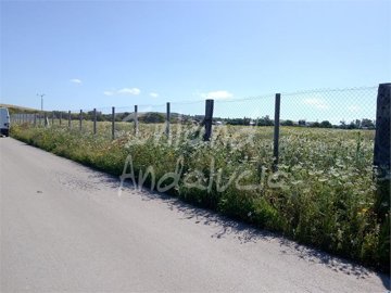 pl31310