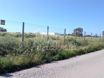 pl3134