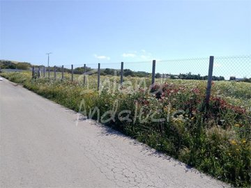 pl3138