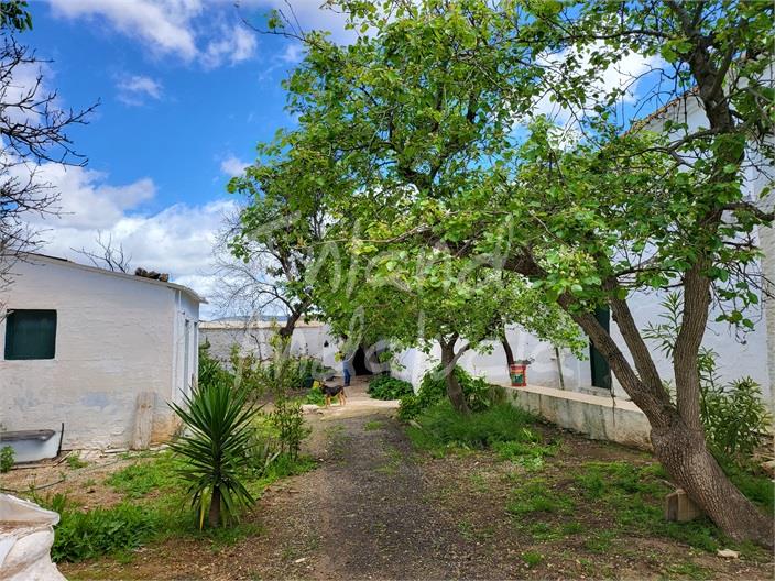 Image No.10-4 Bed Farmhouse for sale