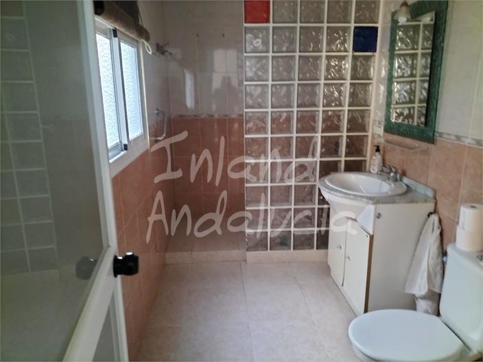 Image No.4-Maison de 5 chambres à vendre à Estepa