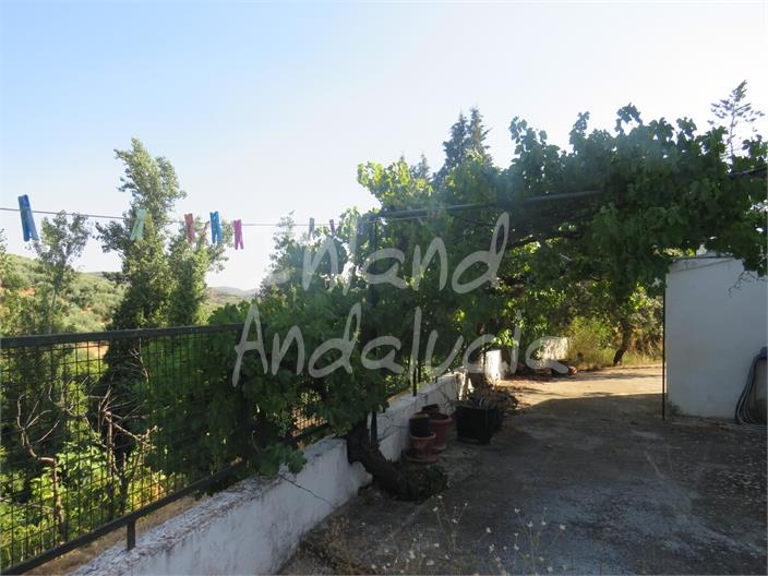 Image No.4-Maison de 3 chambres à vendre à Fuensanta de Martos