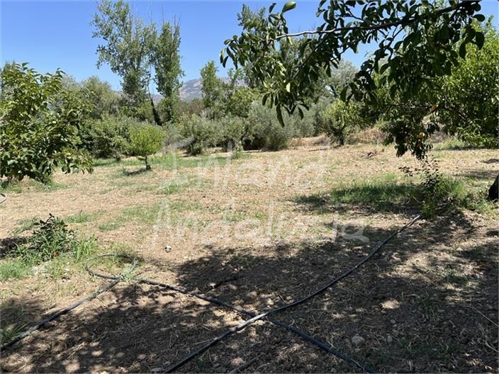 Image No.16-Maison de 2 chambres à vendre à Sabariego