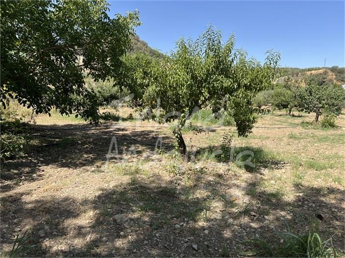 Image No.17-Maison de 2 chambres à vendre à Sabariego