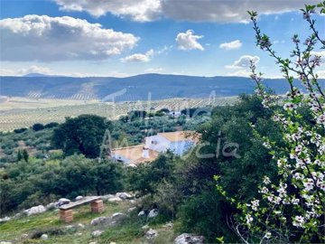 Inland Andalucia most sold property