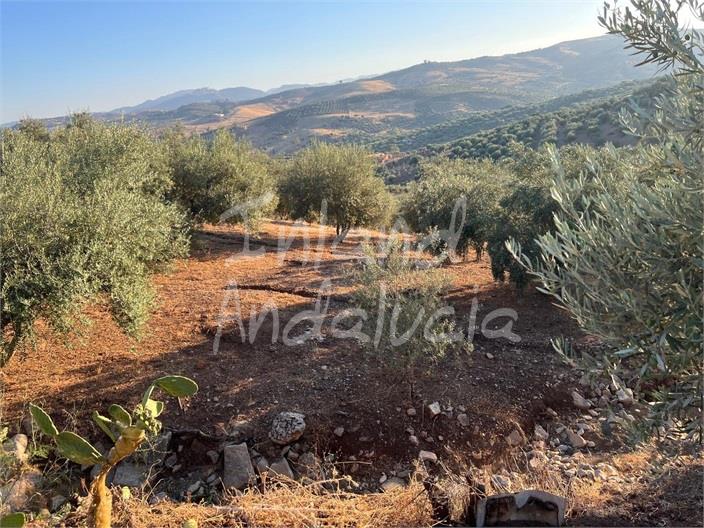 Image No.1-Land for sale