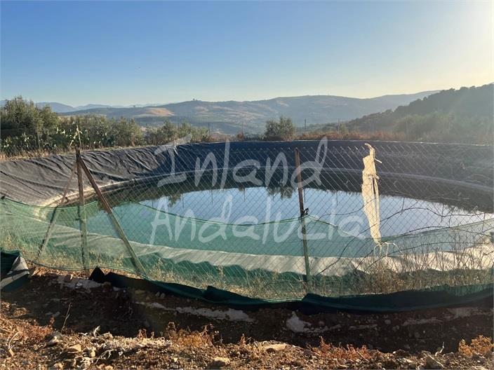 Image No.3-Land for sale