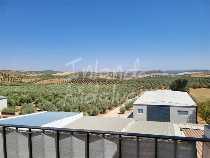 Image No.4-4 Bed House for sale