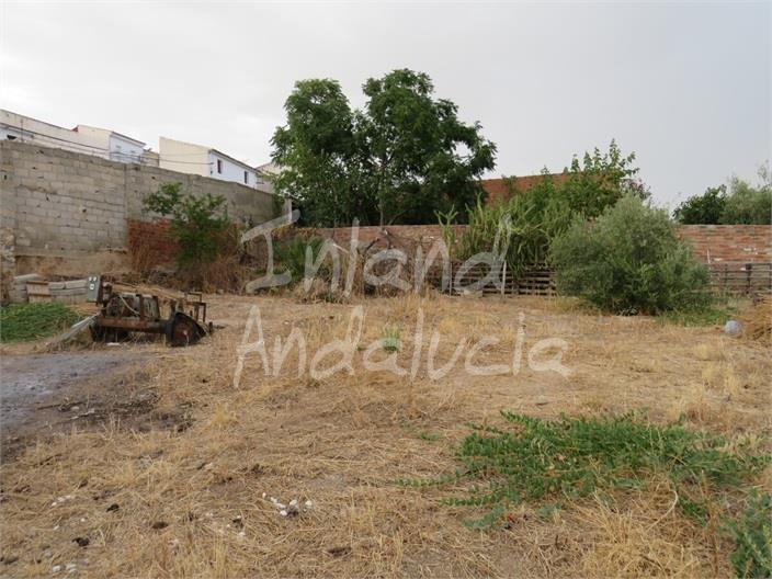 Image No.4-Maison de 2 chambres à vendre à Alcaudete