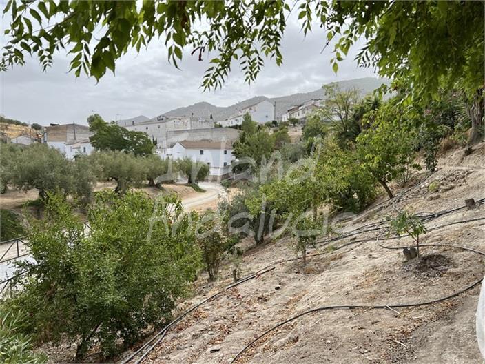 Image No.6-4 Bed Farmhouse for sale