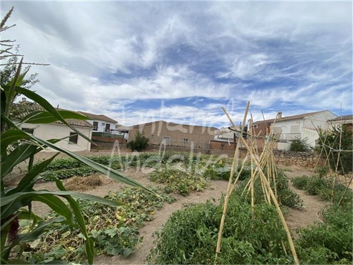 Image No.8-4 Bed House for sale