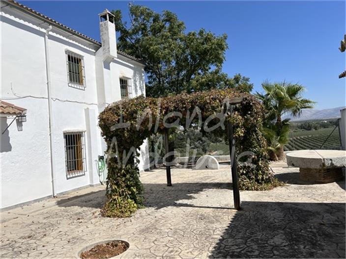 Image No.15-Ferme de 5 chambres à vendre à Cabra