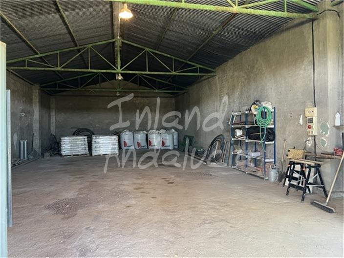 Image No.16-Ferme de 5 chambres à vendre à Cabra