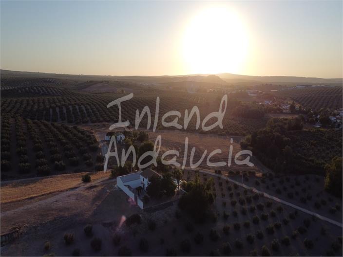 Image No.17-Ferme de 5 chambres à vendre à Cabra